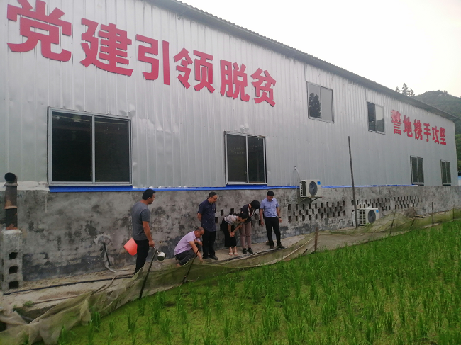 图片44.png